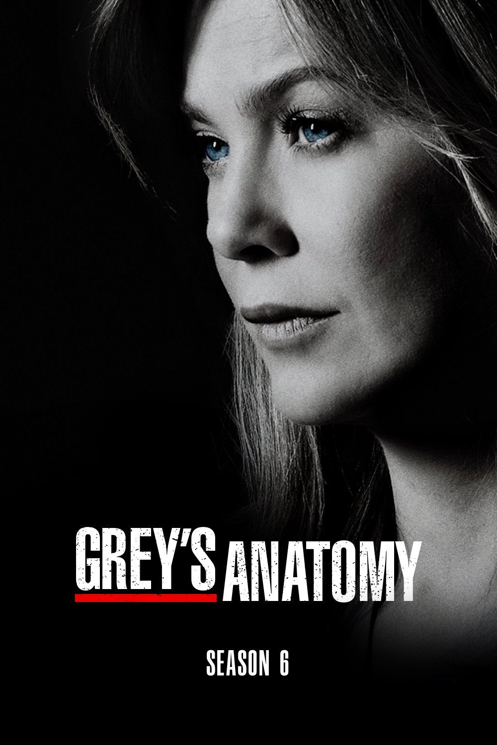 Grey's Anatomy - Season 6 [13671] (A1763983848) [[Shows]] --Plex--
